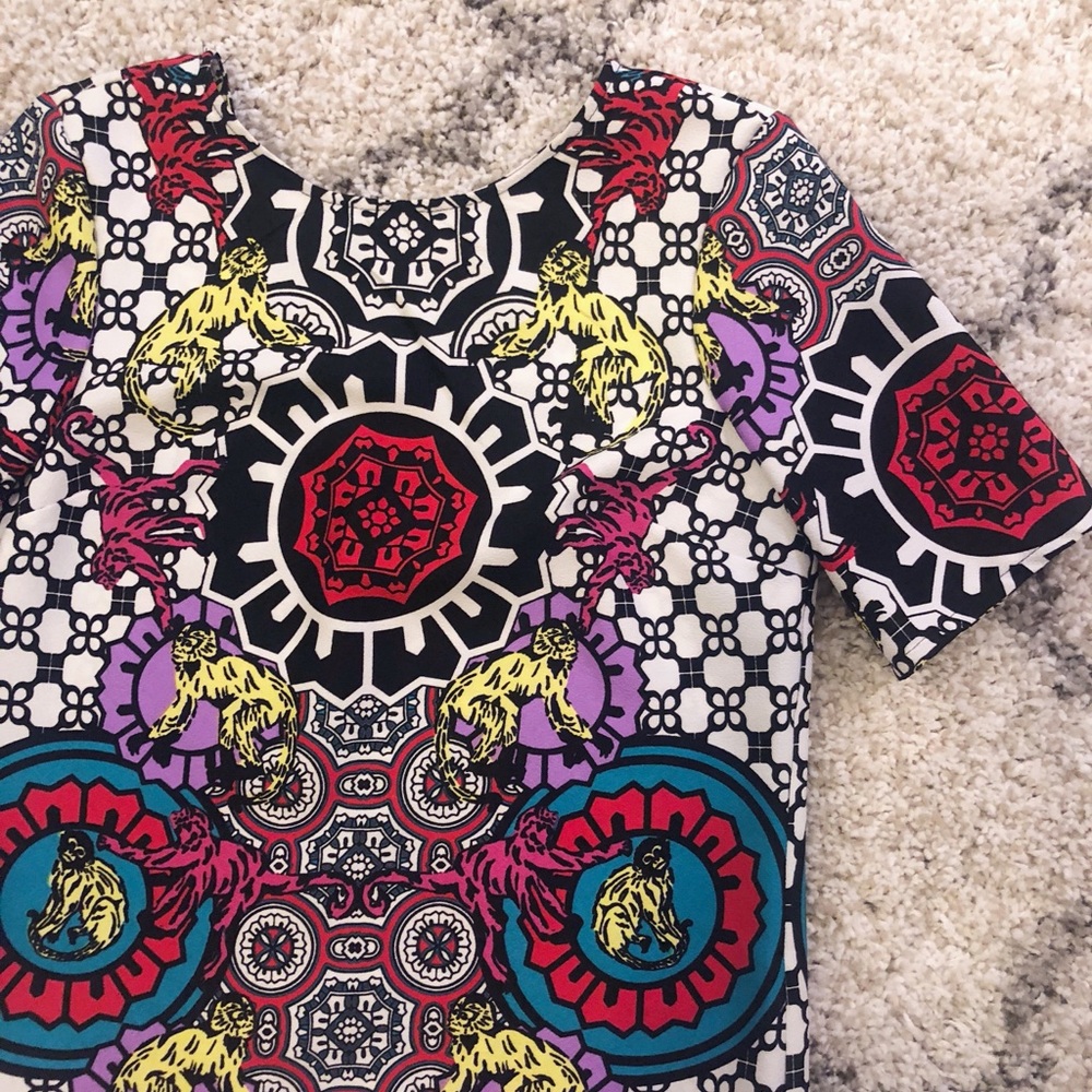 Vibrant Shift Dress